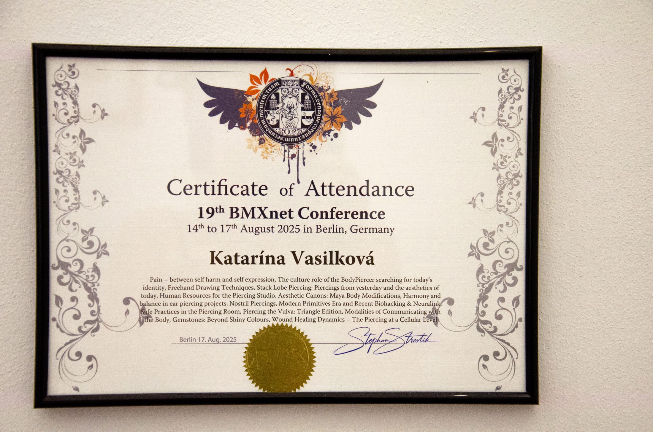 19th BMXnet Conference — 2025