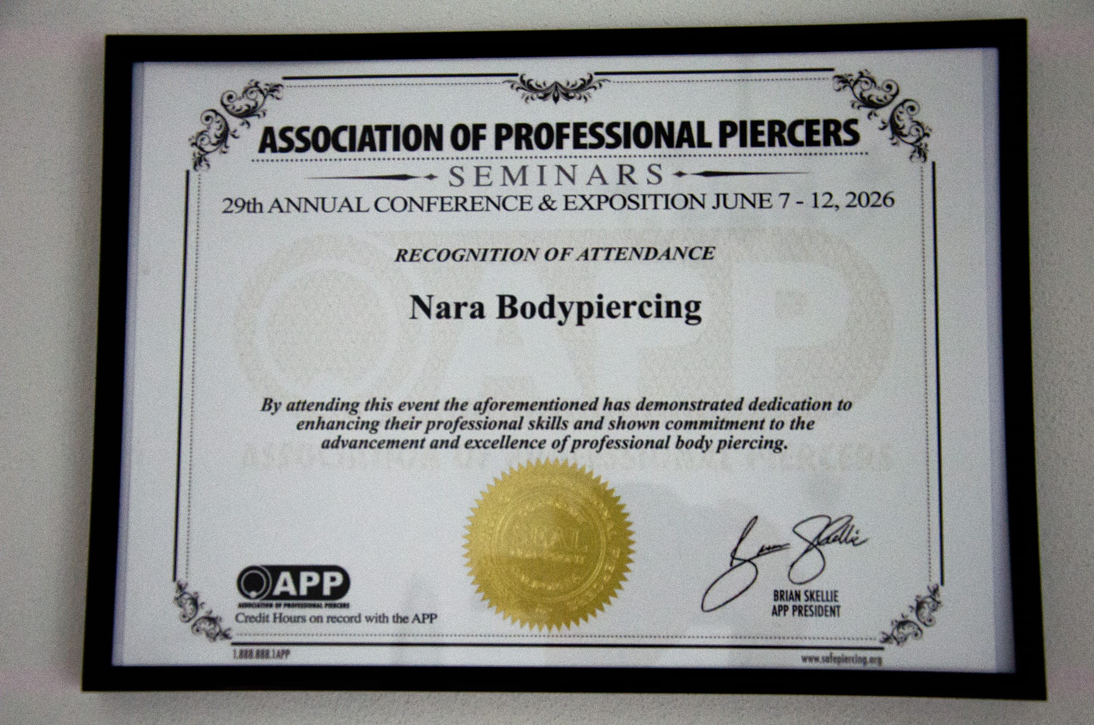 APP 29th Annual Conference & Exposition — 2026